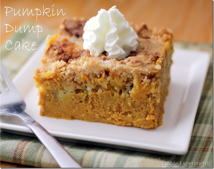 Pumpkin Dump Cake | Edible Experiments